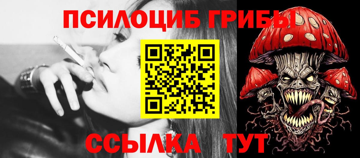 Псилоцибиновые грибы Cubensis Сергиев Посад