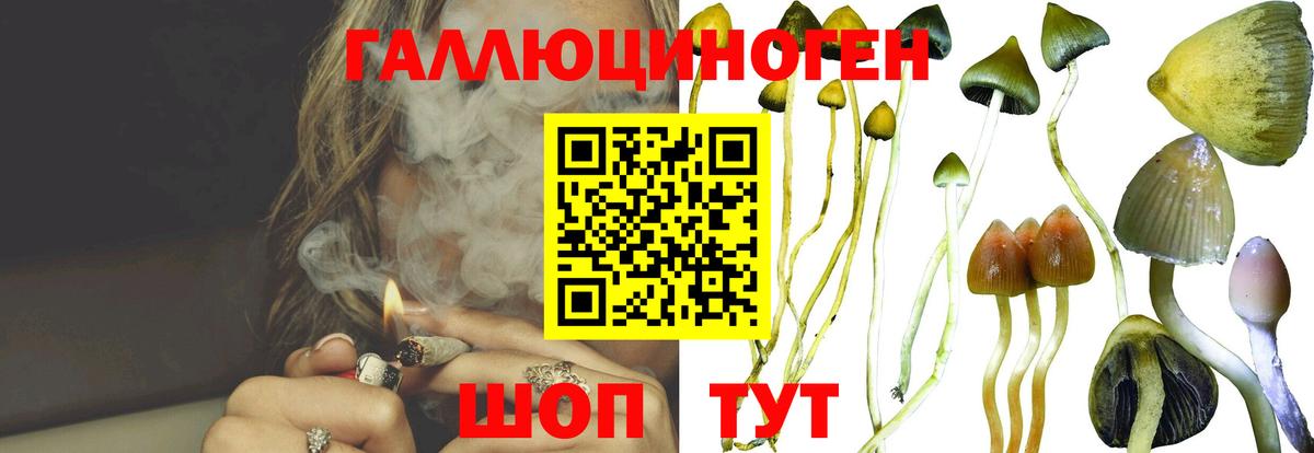Сергиев Посад  цена наркотик  Вход с VPN  Псилоцибиновые грибы MAGIC MUSHROOMS 